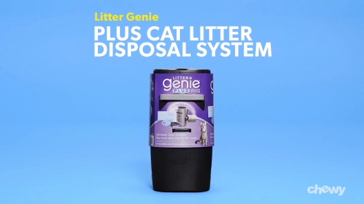 We Love the Litter Genie Plus Cat Litter Pail, But We Have Three