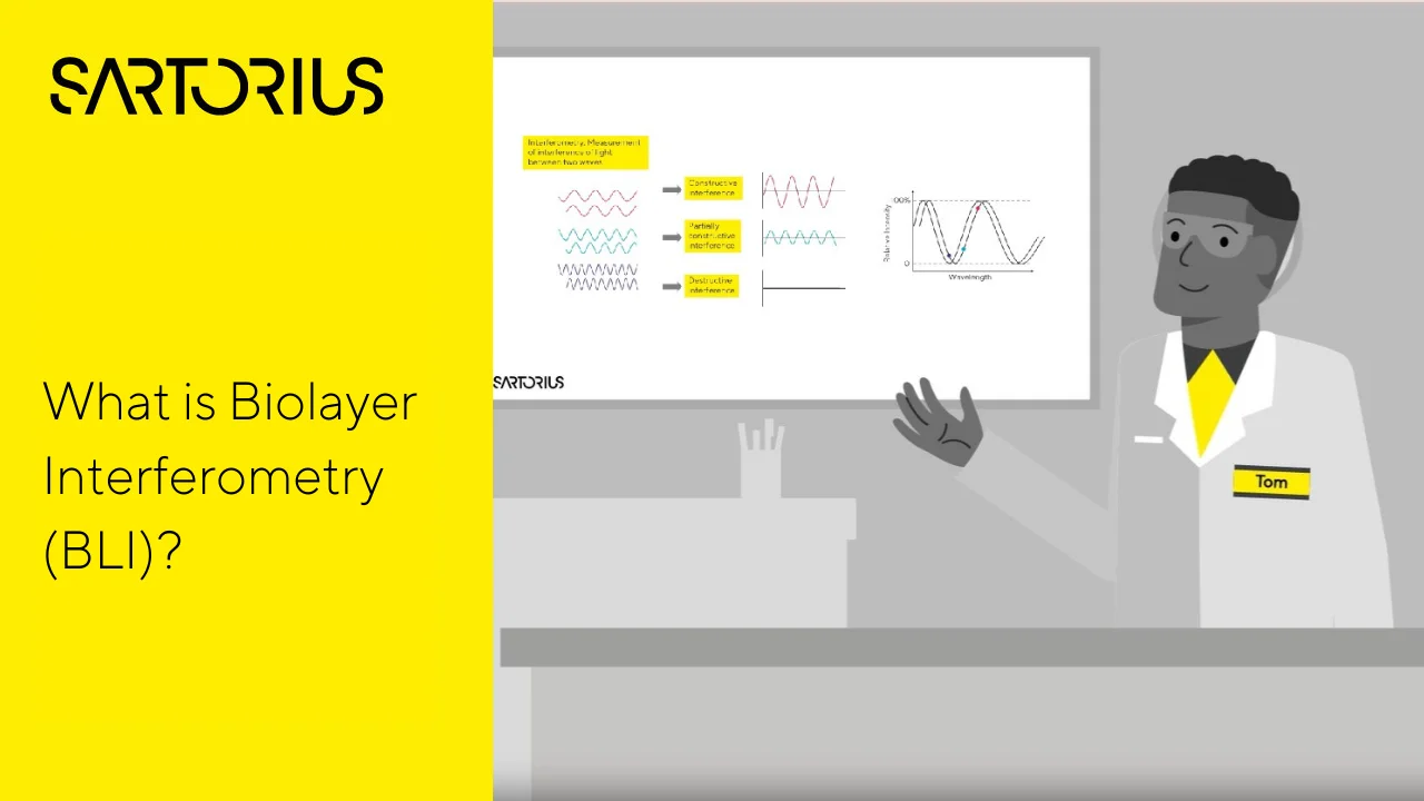 Biolayer Interferometry BLI Unveiling the Biophysics Behind Octet BLI