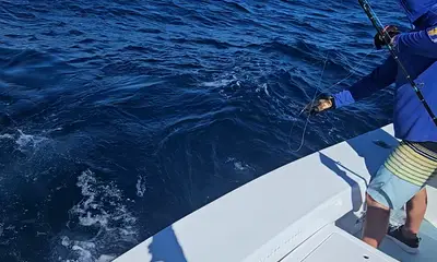 Therapy IV_Mike and Chris