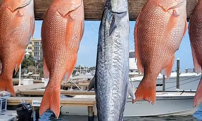 Destin Report Video 2