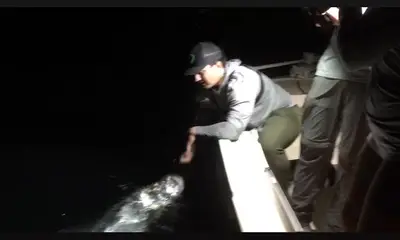 Miami Bericht Video 0