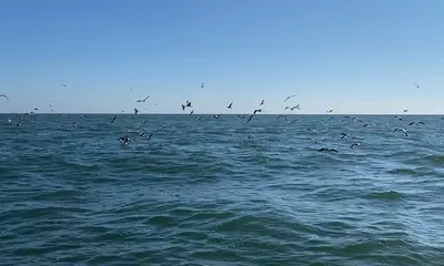 Atlantic City Report Video 0