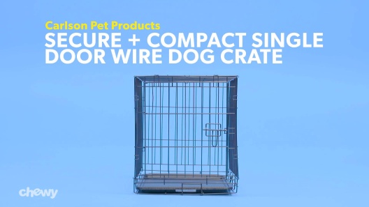 Play Video: Learn More About Carlson Pet Products From Our Team of Experts