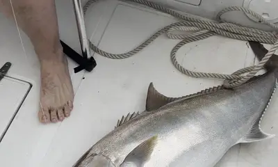 Tight lines and good times 