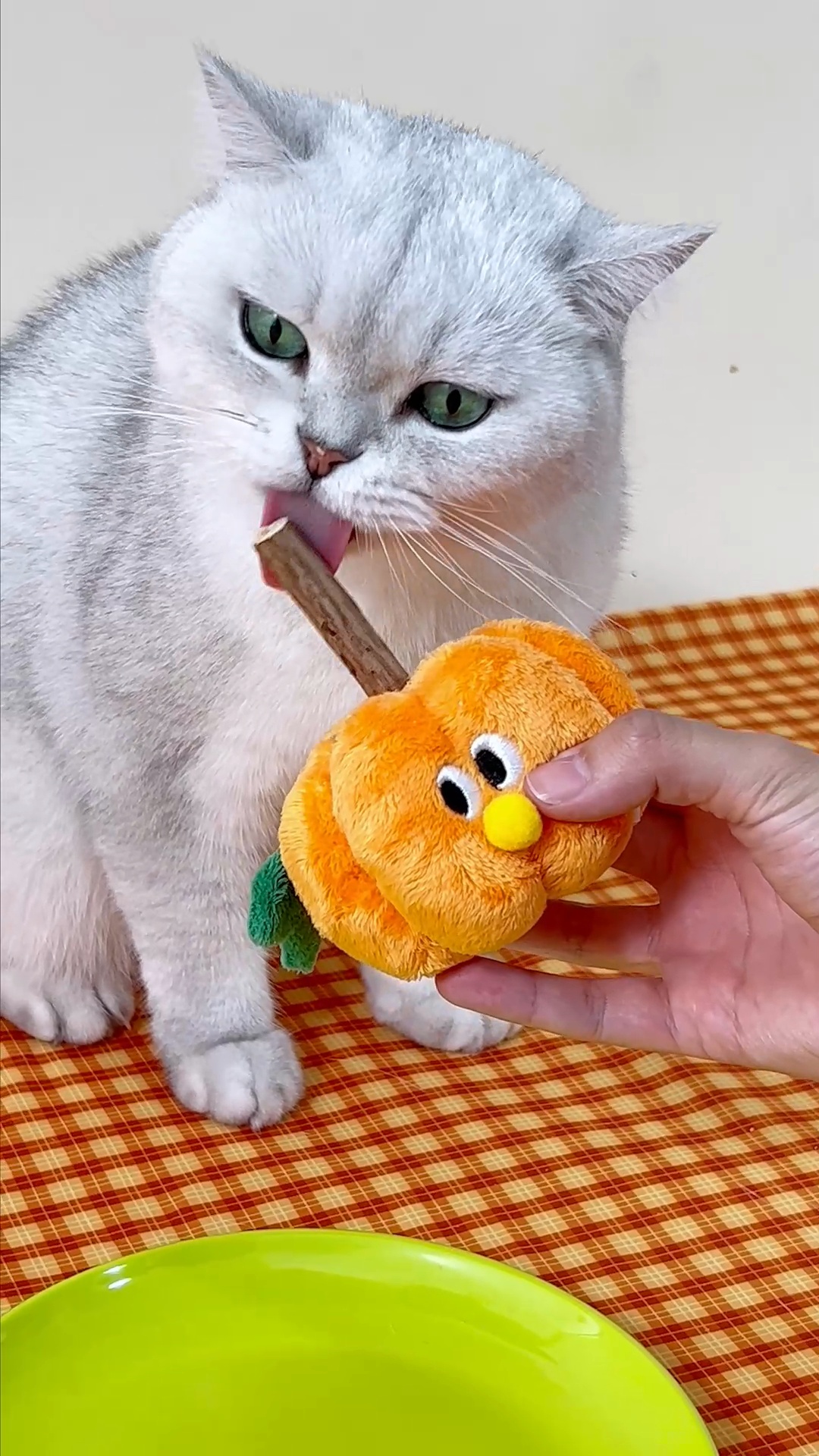 ZEZE DunDun the Pumpkin Silvervine & Catnip Plush Tough Chew Cat