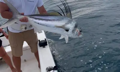 Herradura Report Video 0