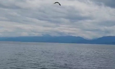 Amazing fishing day!
