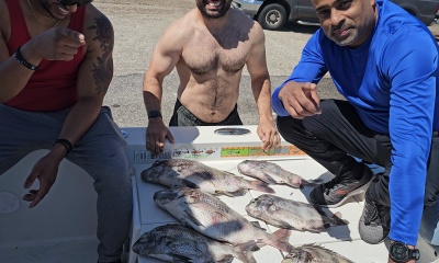 Galveston Report Video 1