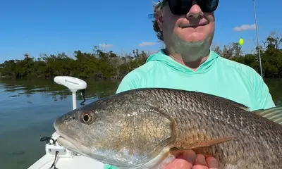 Southwest Florida Report Video 4