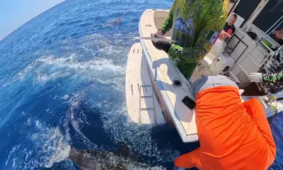 Cancún Report Video 2