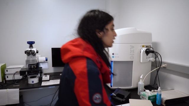 Tutorial: Slide Scanning with the Axioscan 7