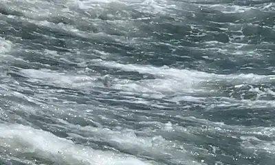 June fishing trip