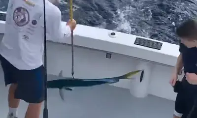 Dania Beach Report Video 0