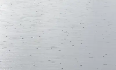 Indian River Lagoon Report Video 0