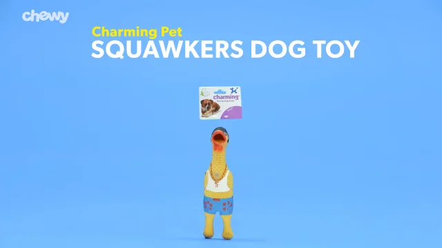 CHARMING PET Squawkers Henrietta Squeaky Latex Dog Toy, Large - Chewy.com