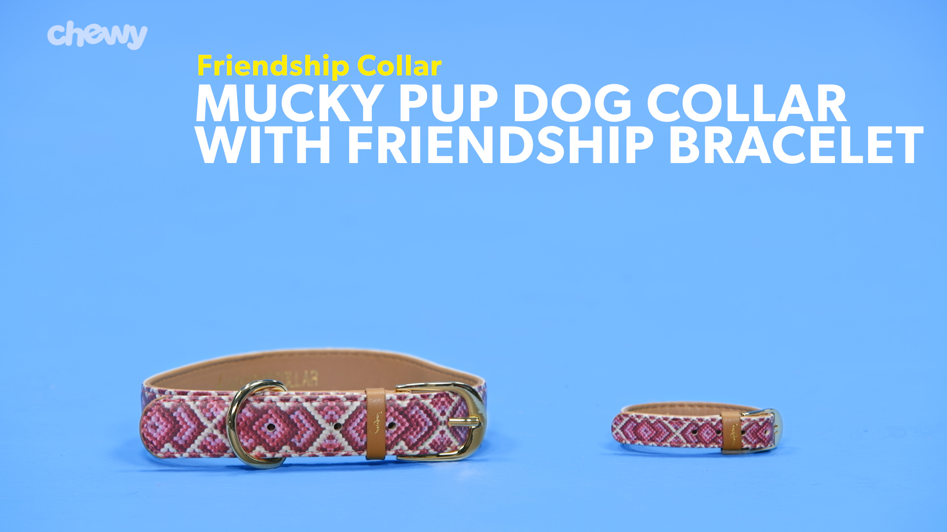 Chewy 2025 friendship collar