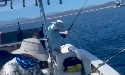 San Jose del Cabo Report Video 0