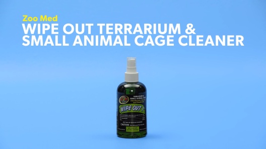 Wipeout Terrarium & Aquarium Glass Cleaner - Magazoo, the Universe of  Reptiles