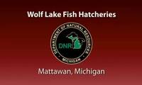 Wolf Lake Fish Hatchery Case Study