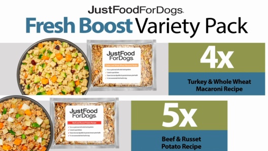 Play Video: Learn More About JustFoodForDogs From Our Team of Experts