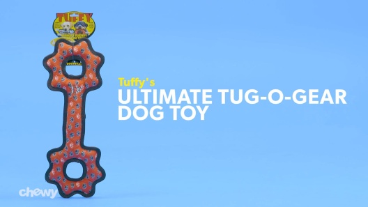 Play Video: Learn More About Tuffy's From Our Team of Experts