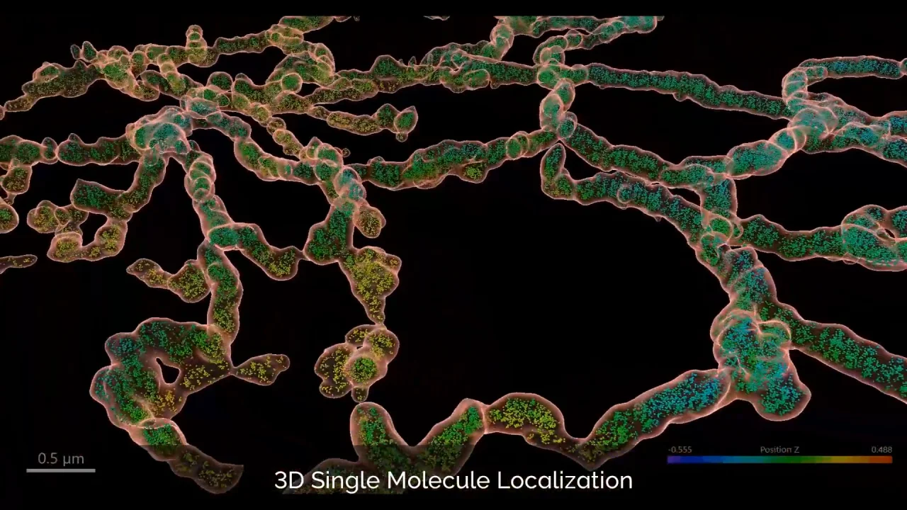 Dragonfly 高速共焦点顕微鏡システム - Andor - オックスフォード