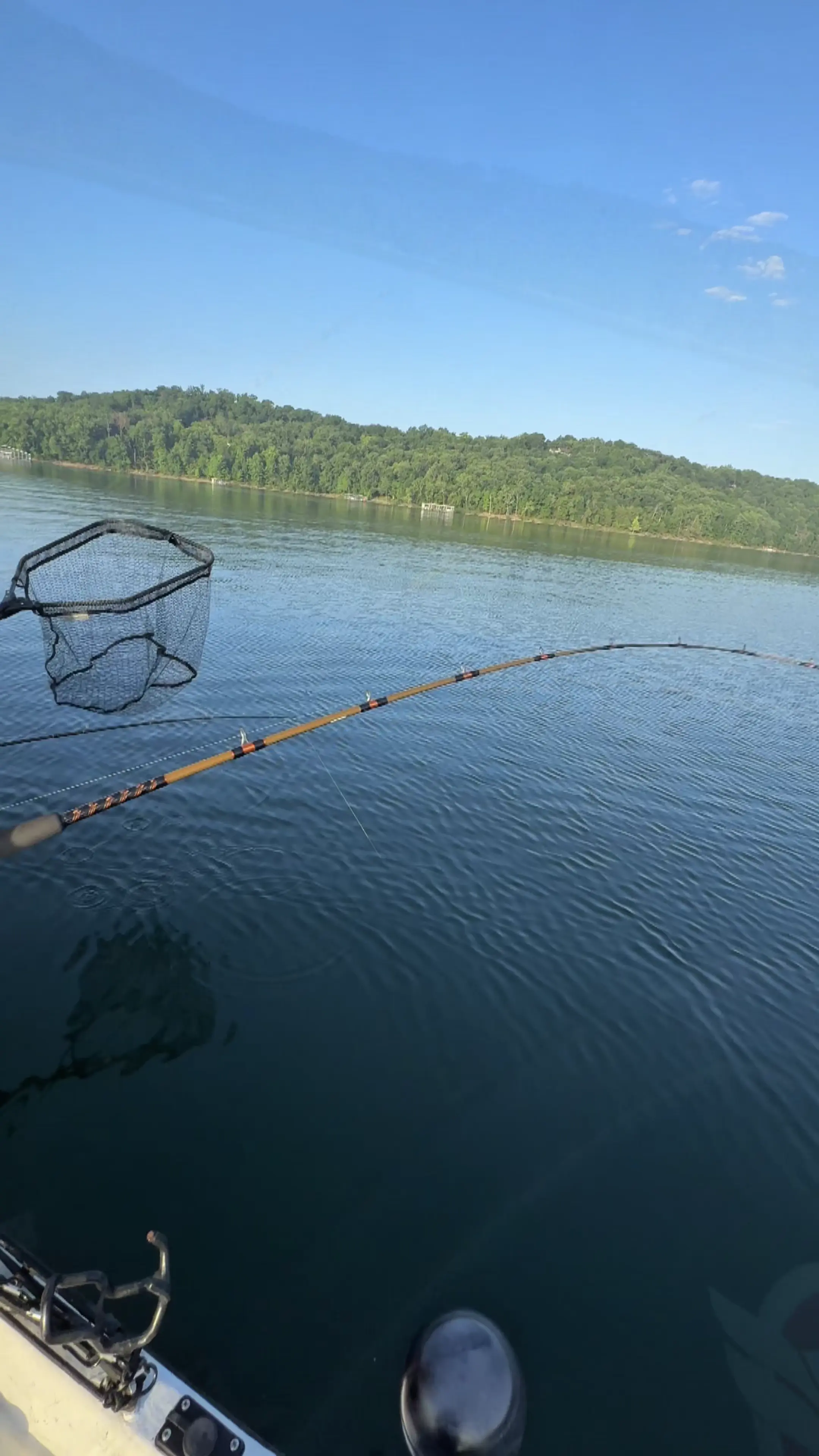 Business Card: Reel Ozark Striper