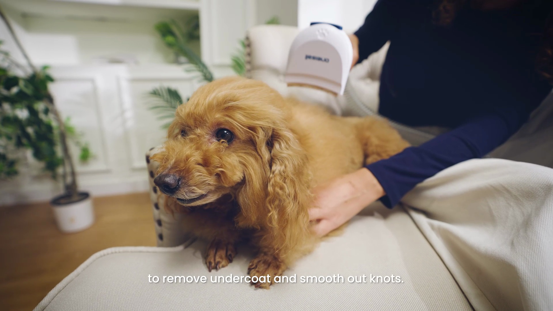 ONEISALL 11-in-1 Tools Comfy L1 Cordless Dog Grooming Vacuum Kit