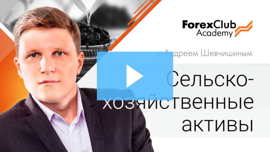 Андрей Шевчишин. Сельскохозяйственные активы