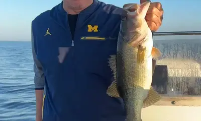 Clewiston Report Video 0