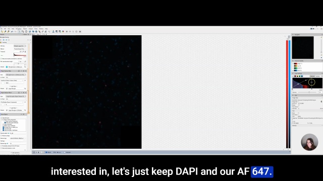 Tutorial: tracing glia in arivis Pro