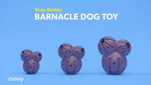 Busy Buddy® Barnacle Dog Toy