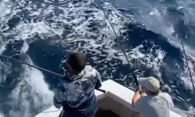 Pompano Beach Report Video 0