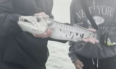 Captain Tyler is awesome