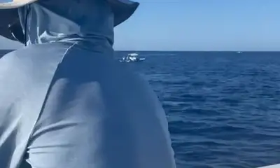 San Jose del Cabo Report Video 0