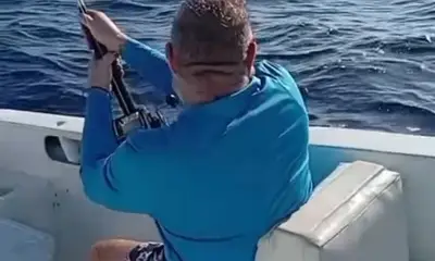San Jose del Cabo Report Video 0