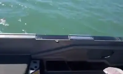 Another great early morning river