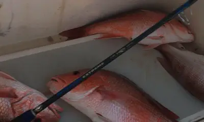 Destin Report Video 0