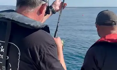 Tavira Report Video 0
