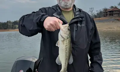 Dandridge Report Video 0