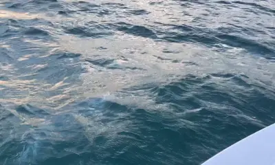 Miami Report Video 0