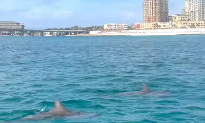 Captain Tanner is great