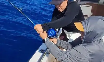Reporte de San Jose del Cabo Video 1