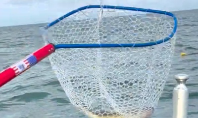 East Tawas Report Video 0
