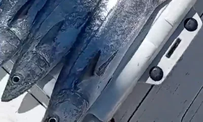 Fort Lauderdale Report Video 0