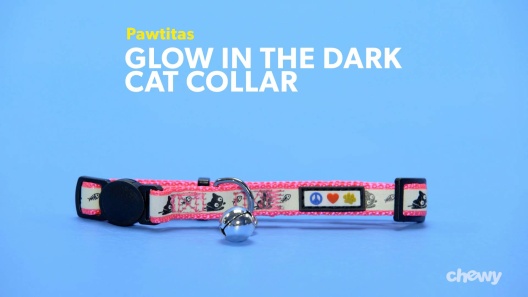 Play Video: Learn More About Pawtitas From Our Team of Experts