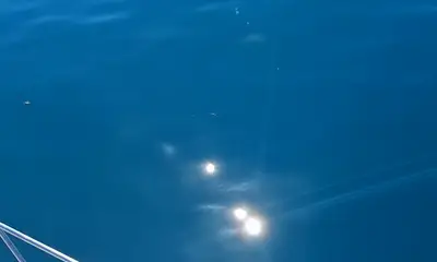 Dana Point Report Video 1