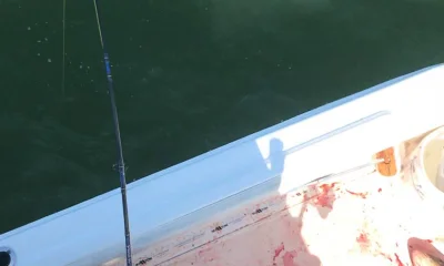 Virginia Beach Report Video 0