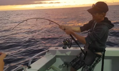 Costa Adeje Bericht Video 0
