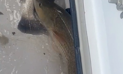 Matagorda Bay Report Video 2